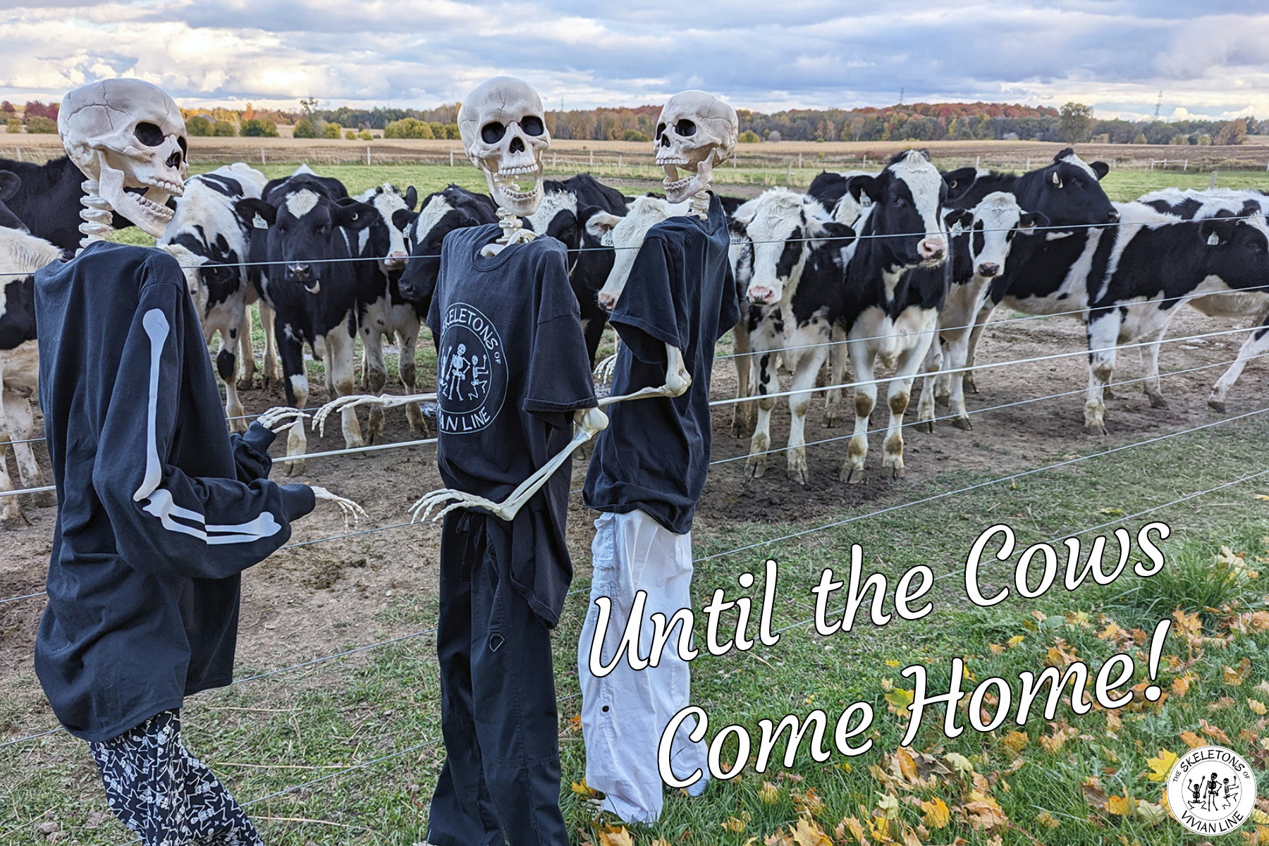 day-3-until-the-cows-come-home-skeletons-of-vivian-line