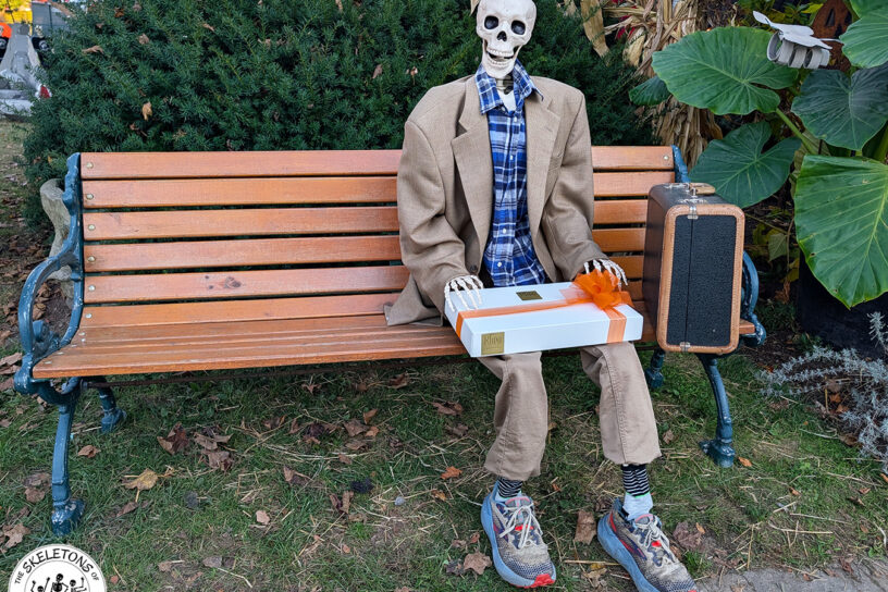 Day 7 – Life is Like a Box of Chocolates